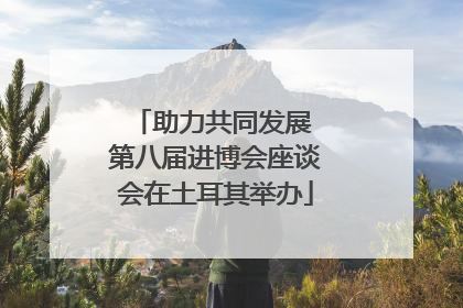 助力共同发展 第八届进博会座谈会在土耳其举办