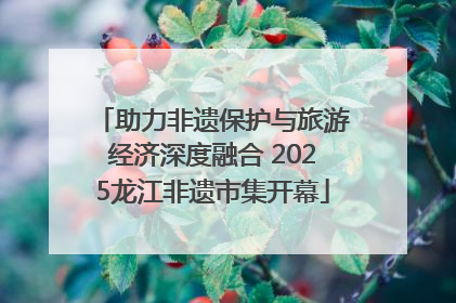 助力非遗保护与旅游经济深度融合 2025龙江非遗市集开幕