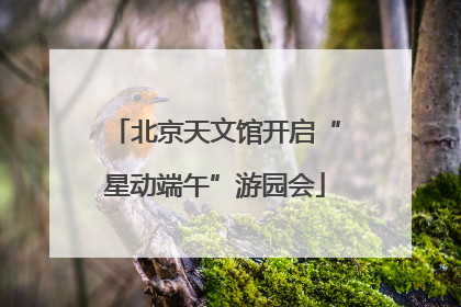 北京天文馆开启“星动端午”游园会