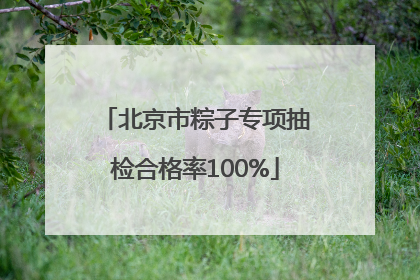 北京市粽子专项抽检合格率100%