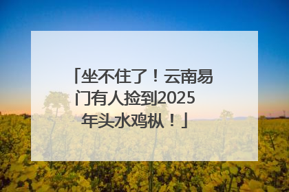 坐不住了！云南易门有人捡到2025年头水鸡枞！
