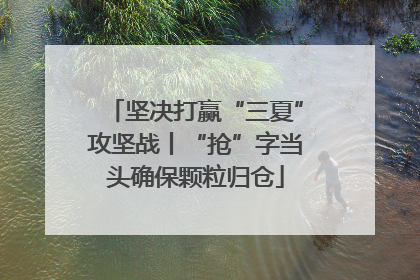 坚决打赢“三夏”攻坚战丨“抢”字当头确保颗粒归仓