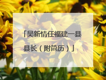 吴新情任福建一县县长（附简历）