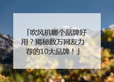吹风机哪个品牌好用？揭秘数万网友力荐的10大品牌！