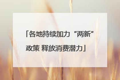 各地持续加力“两新”政策 释放消费潜力