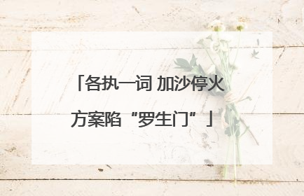 各执一词 加沙停火方案陷“罗生门”