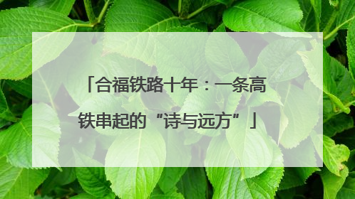 合福铁路十年：一条高铁串起的“诗与远方”