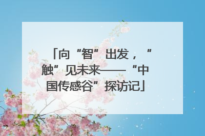 向“智”出发，“触”见未来——“中国传感谷”探访记