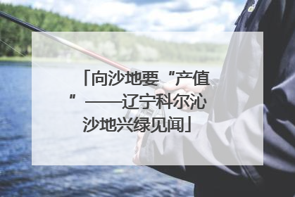 向沙地要“产值”——辽宁科尔沁沙地兴绿见闻
