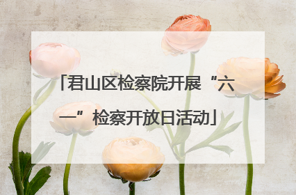 君山区检察院开展“六一”检察开放日活动