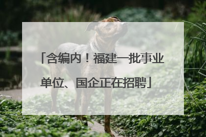 含编内！福建一批事业单位、国企正在招聘