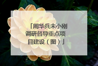 周华兵未小刚调研督导重点项目建设（图）