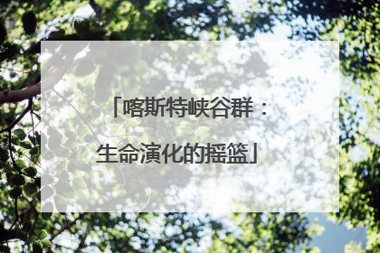 喀斯特峡谷群：生命演化的摇篮