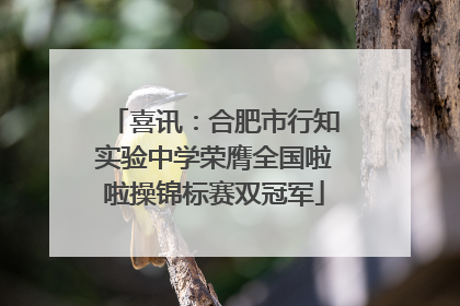 喜讯：合肥市行知实验中学荣膺全国啦啦操锦标赛双冠军