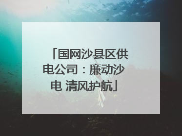 国网沙县区供电公司：廉动沙电 清风护航