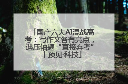 国产六大AI混战高考：写作文各有亮点，遇压轴题“直接弃考”丨预见·科技