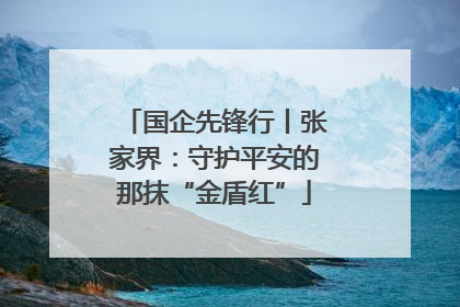 国企先锋行丨张家界：守护平安的那抹“金盾红”