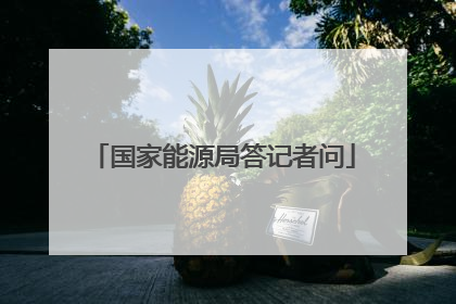 国家能源局答记者问