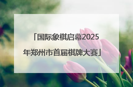 国际象棋启幕2025年郑州市首届棋牌大赛