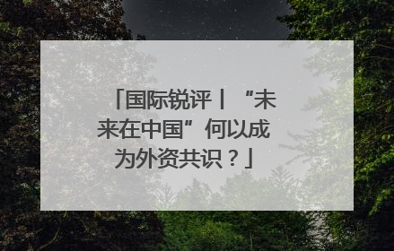 国际锐评丨“未来在中国”何以成为外资共识？