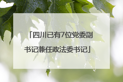 四川已有7位党委副书记兼任政法委书记