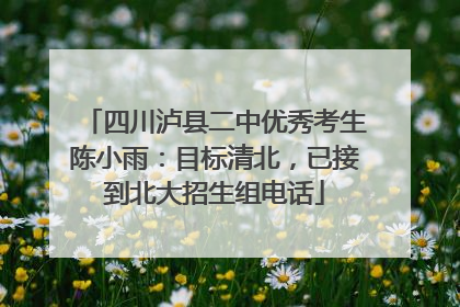 四川泸县二中优秀考生陈小雨：目标清北，已接到北大招生组电话