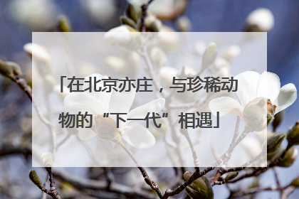 在北京亦庄，与珍稀动物的“下一代”相遇