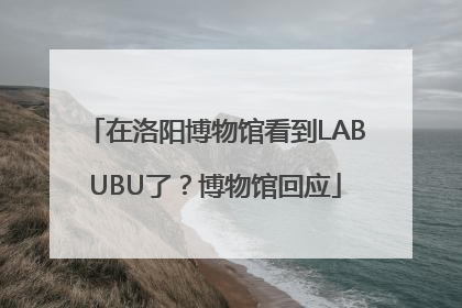 在洛阳博物馆看到LABUBU了？博物馆回应
