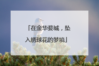在金华婺城，坠入绣球花的梦境