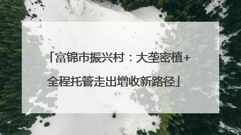 富锦市振兴村：大垄密植+全程托管走出增收新路径