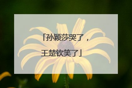 孙颖莎哭了，王楚钦笑了