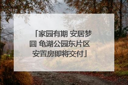 家园有期 安居梦圆 龟湖公园东片区安置房即将交付