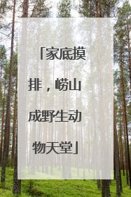 家底摸排，崂山成野生动物天堂