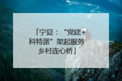 宁夏：“党建+科特派”架起服务乡村连心桥