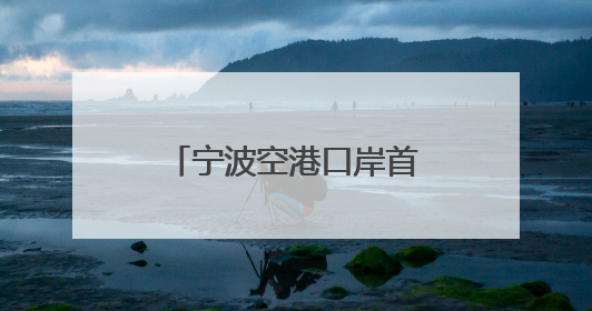 宁波空港口岸首次，四足机器人“打飞的”出海