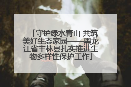守护绿水青山 共筑美好生态家园——黑龙江省丰林县扎实推进生物多样性保护工作