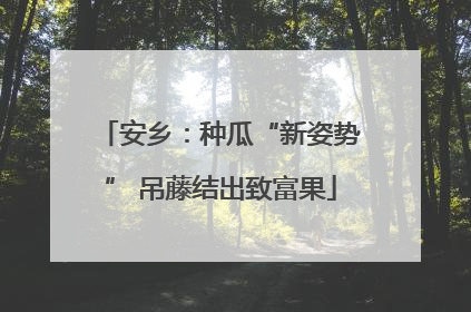 安乡：种瓜“新姿势” 吊藤结出致富果