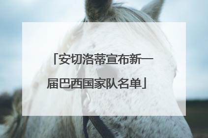 安切洛蒂宣布新一届巴西国家队名单