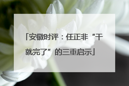 安徽时评：任正非“干就完了”的三重启示