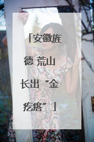 安徽旌德 荒山长出“金疙瘩”