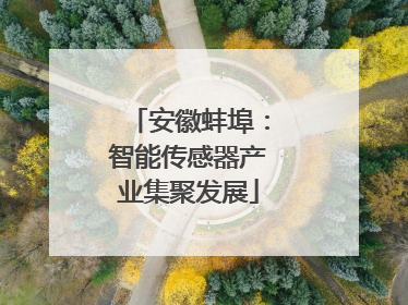 安徽蚌埠：智能传感器产业集聚发展