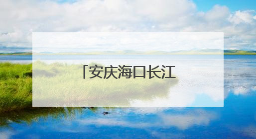 安庆海口长江公铁大桥力争今年内开工建设