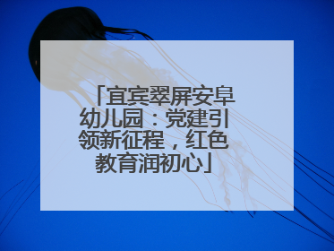 宜宾翠屏安阜幼儿园：党建引领新征程，红色教育润初心
