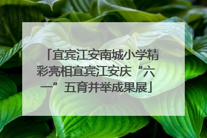 宜宾江安南城小学精彩亮相宜宾江安庆“六一”五育并举成果展
