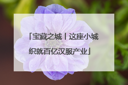 宝藏之城丨这座小城织就百亿汉服产业