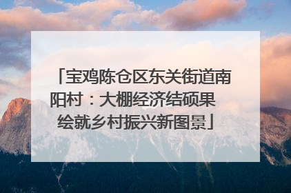 宝鸡陈仓区东关街道南阳村：大棚经济结硕果 绘就乡村振兴新图景