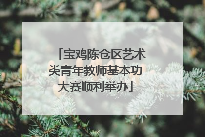 宝鸡陈仓区艺术类青年教师基本功大赛顺利举办