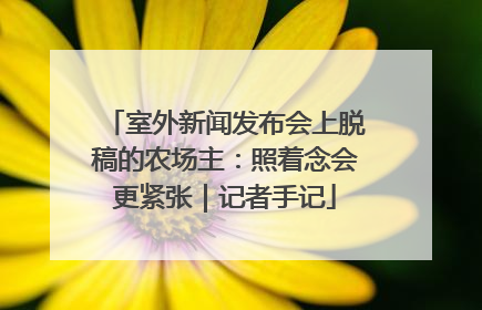 室外新闻发布会上脱稿的农场主：照着念会更紧张｜记者手记