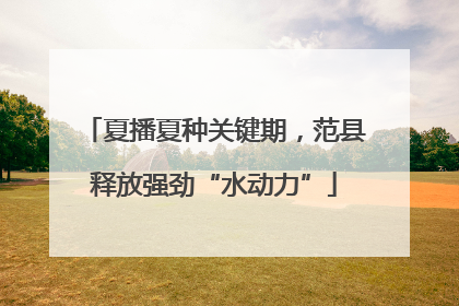 夏播夏种关键期，范县释放强劲“水动力”