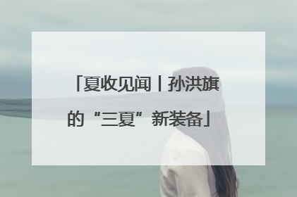 夏收见闻丨孙洪旗的“三夏”新装备